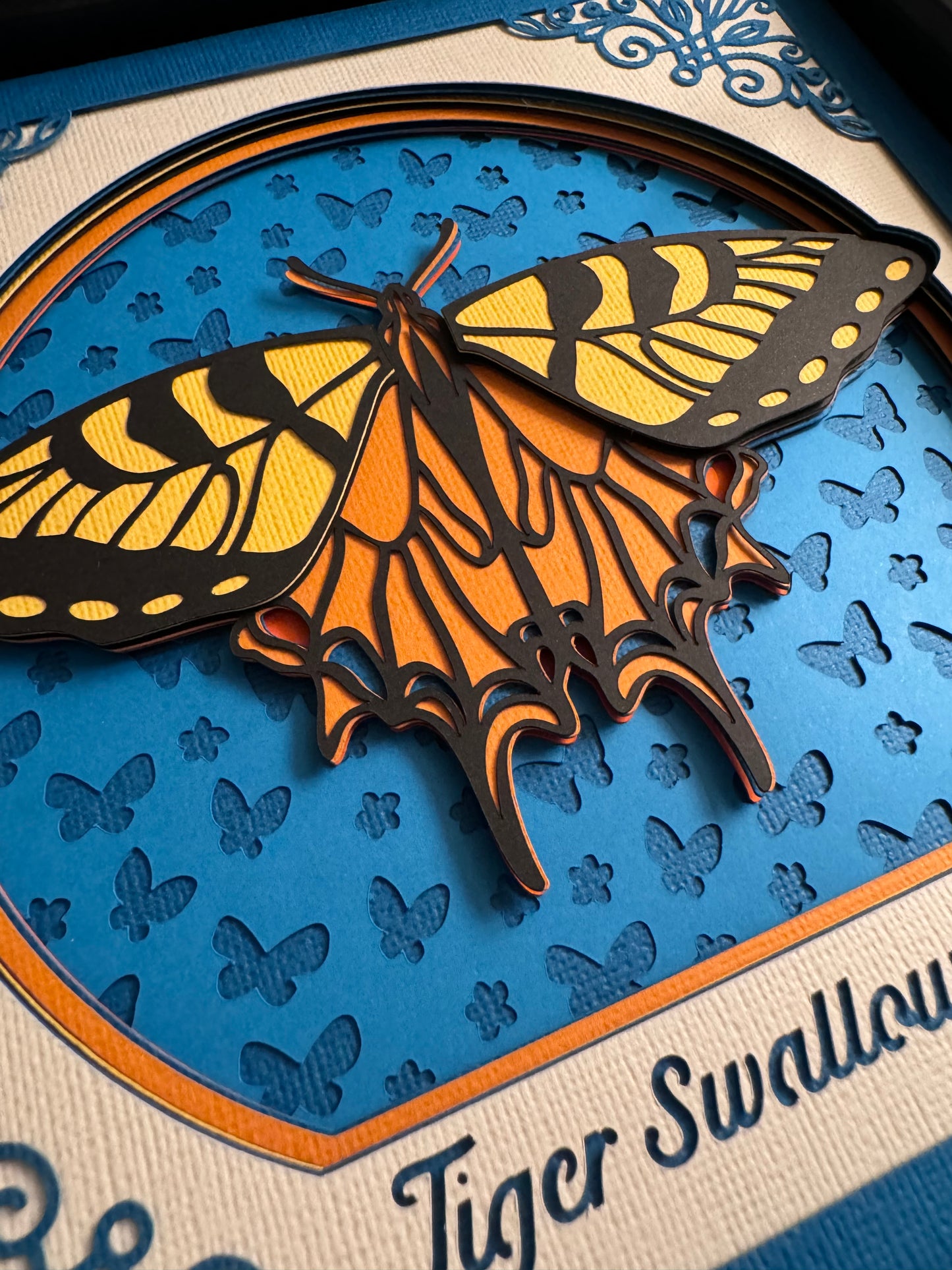 Intricate frame tiger swallowtail butterfly 3D paper art in a shadowbox
