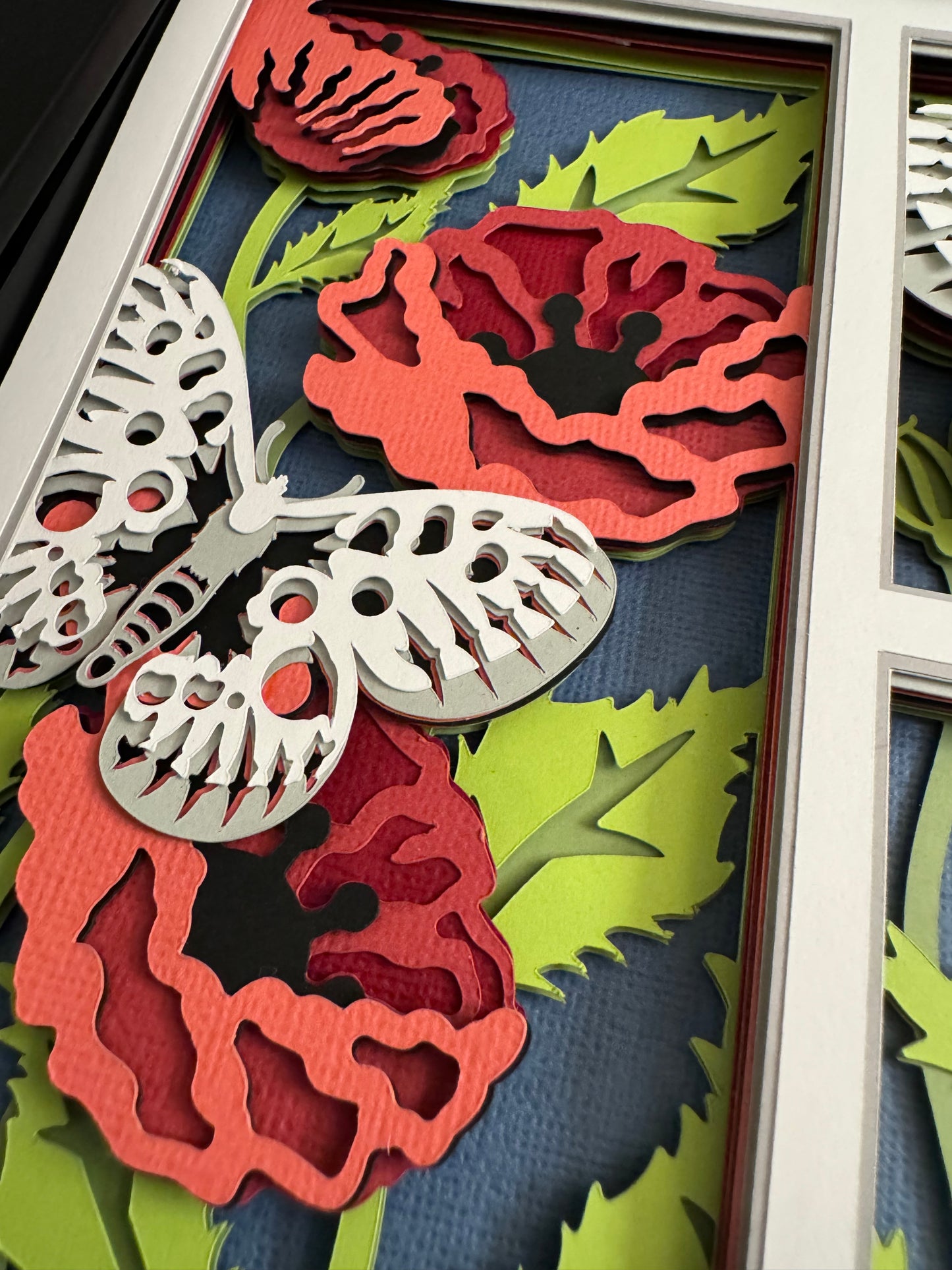 Butterfly 3 panel scene apollo butterfly 3D paper art in a shadowbox