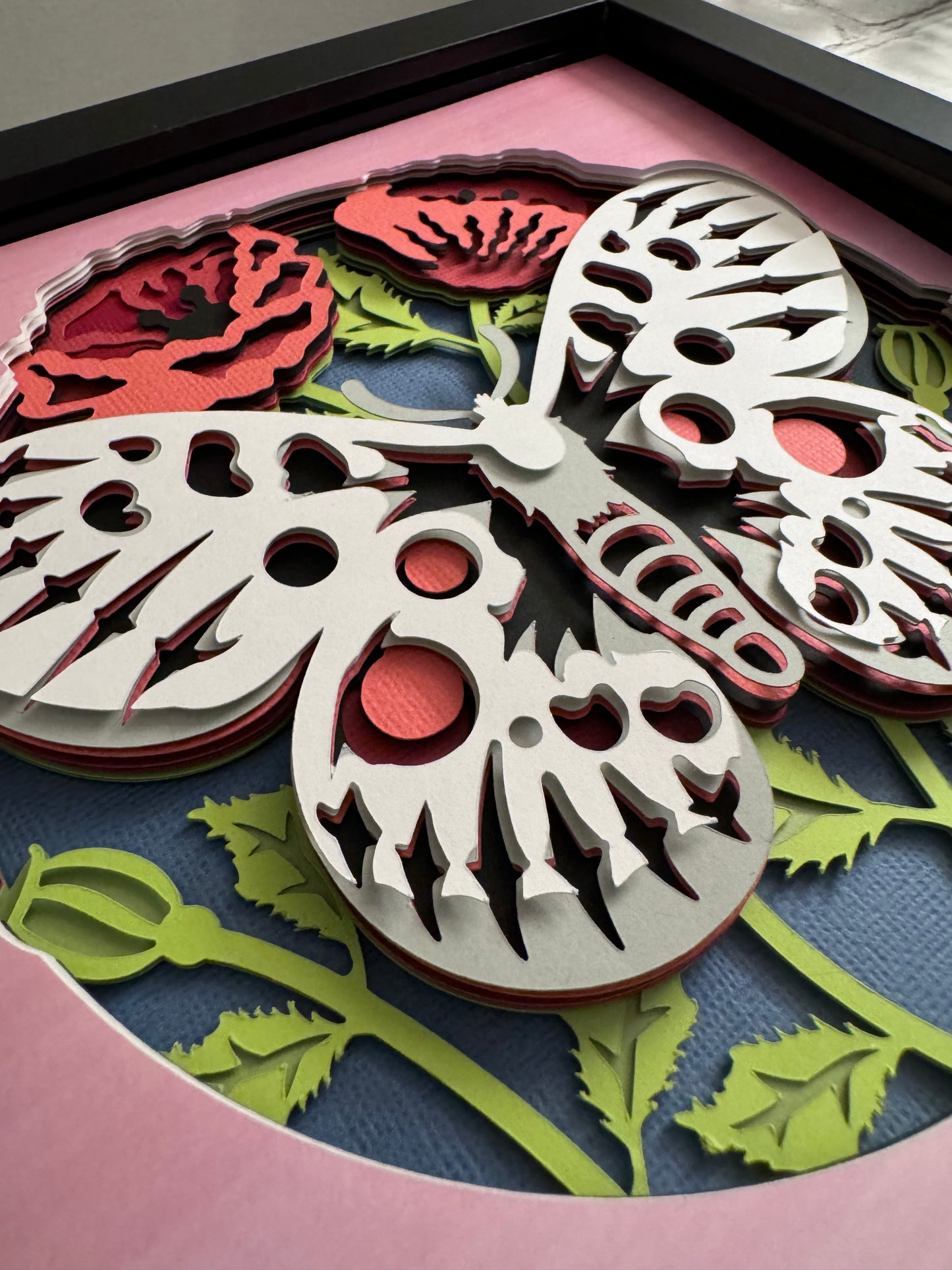 Butterfly solo scene apollo butterfly 3D paper art in a shadowbox