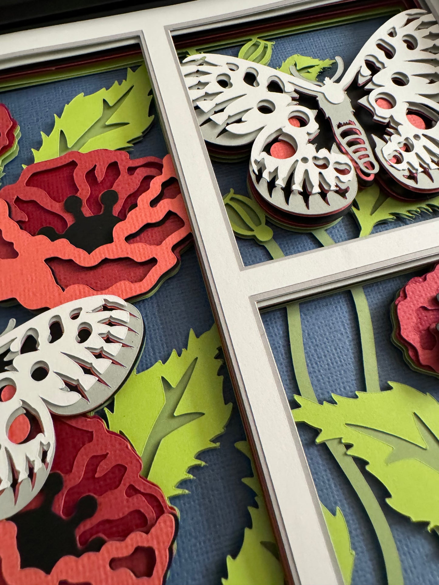 Butterfly 3 panel scene apollo butterfly 3D paper art in a shadowbox