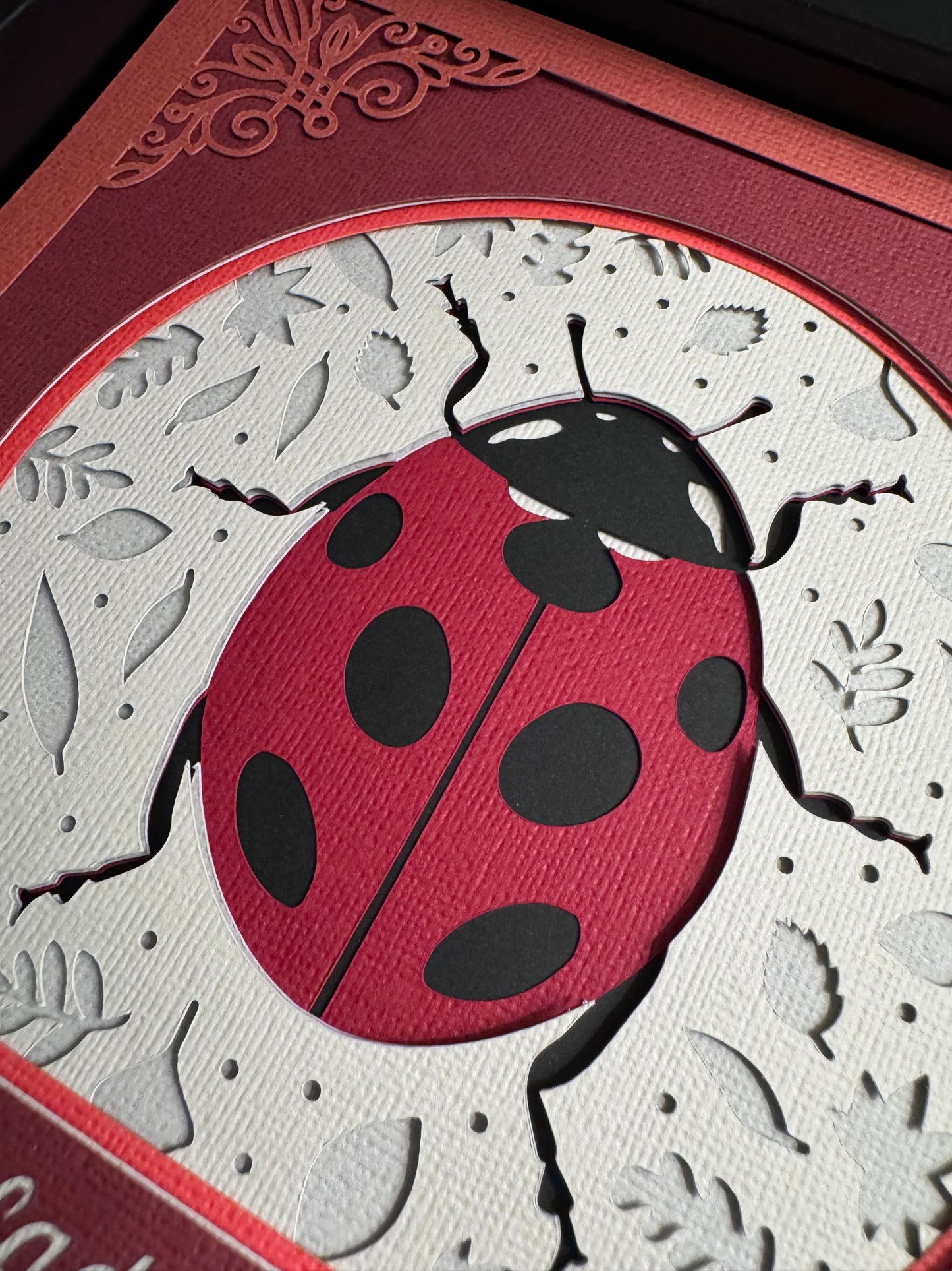 Intricate frame ladybug 3D paper art in a shadowbox