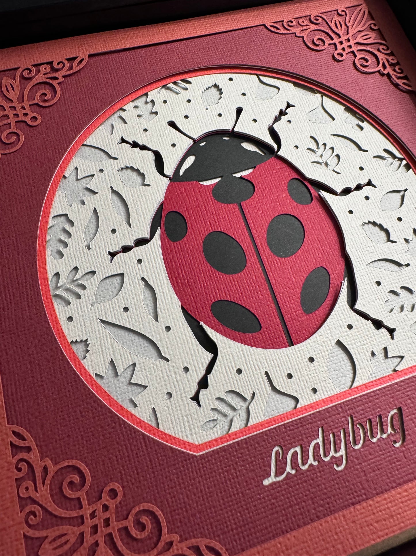 Intricate frame ladybug 3D paper art in a shadowbox