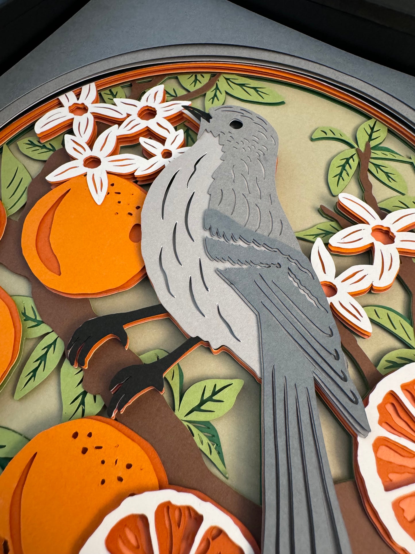 Mockingbird with oranges, Florida state bird 3D paper art in a shadowbox