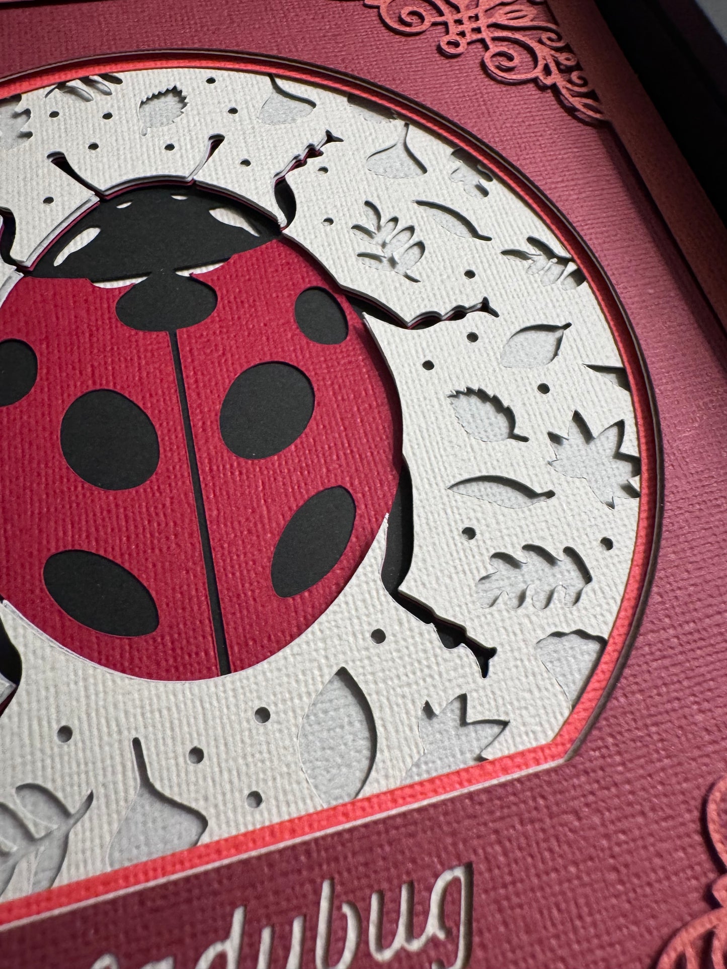 Intricate frame ladybug 3D paper art in a shadowbox
