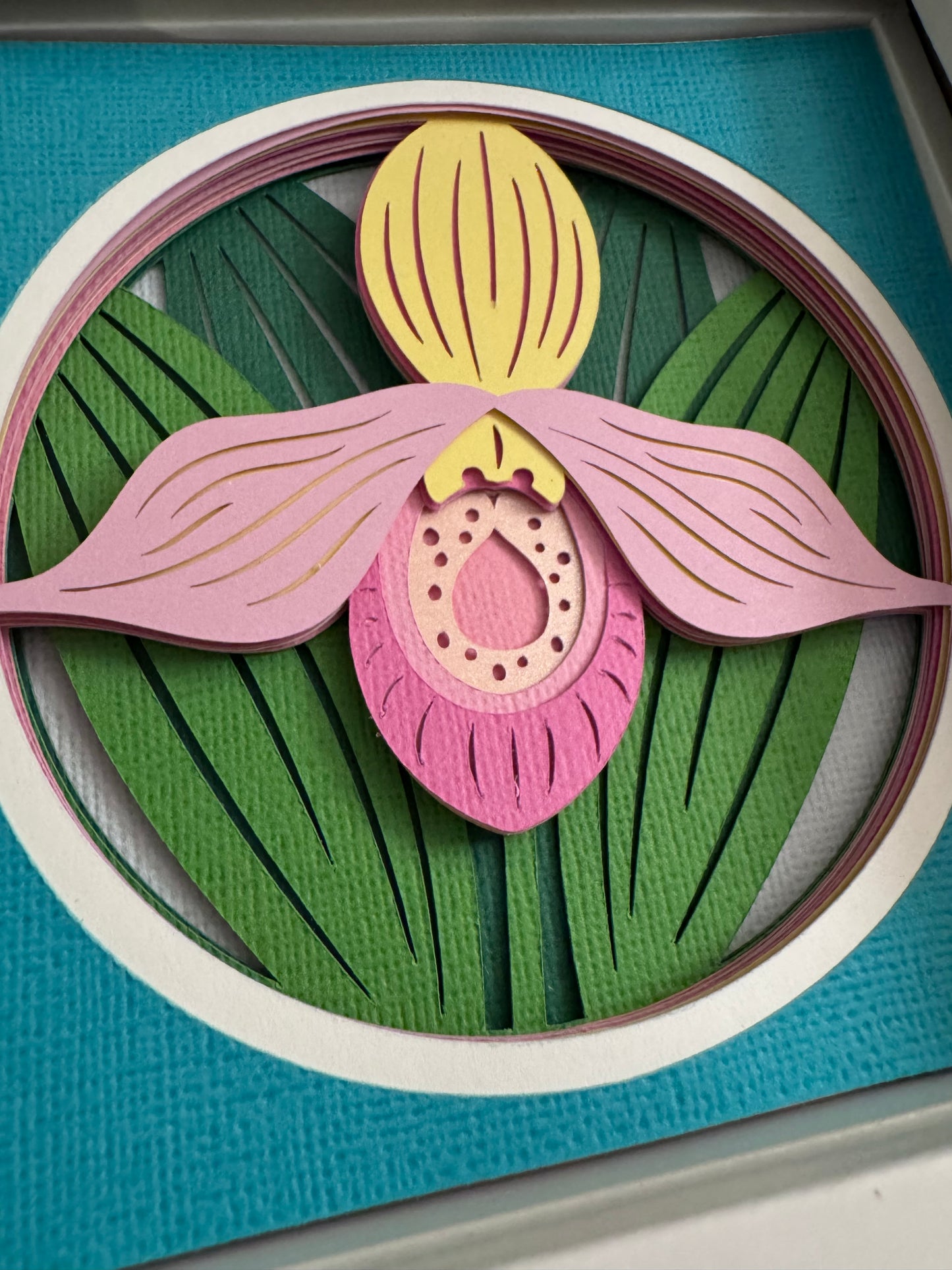 Lady slipper close up mini 3D paper art in a shadowbox