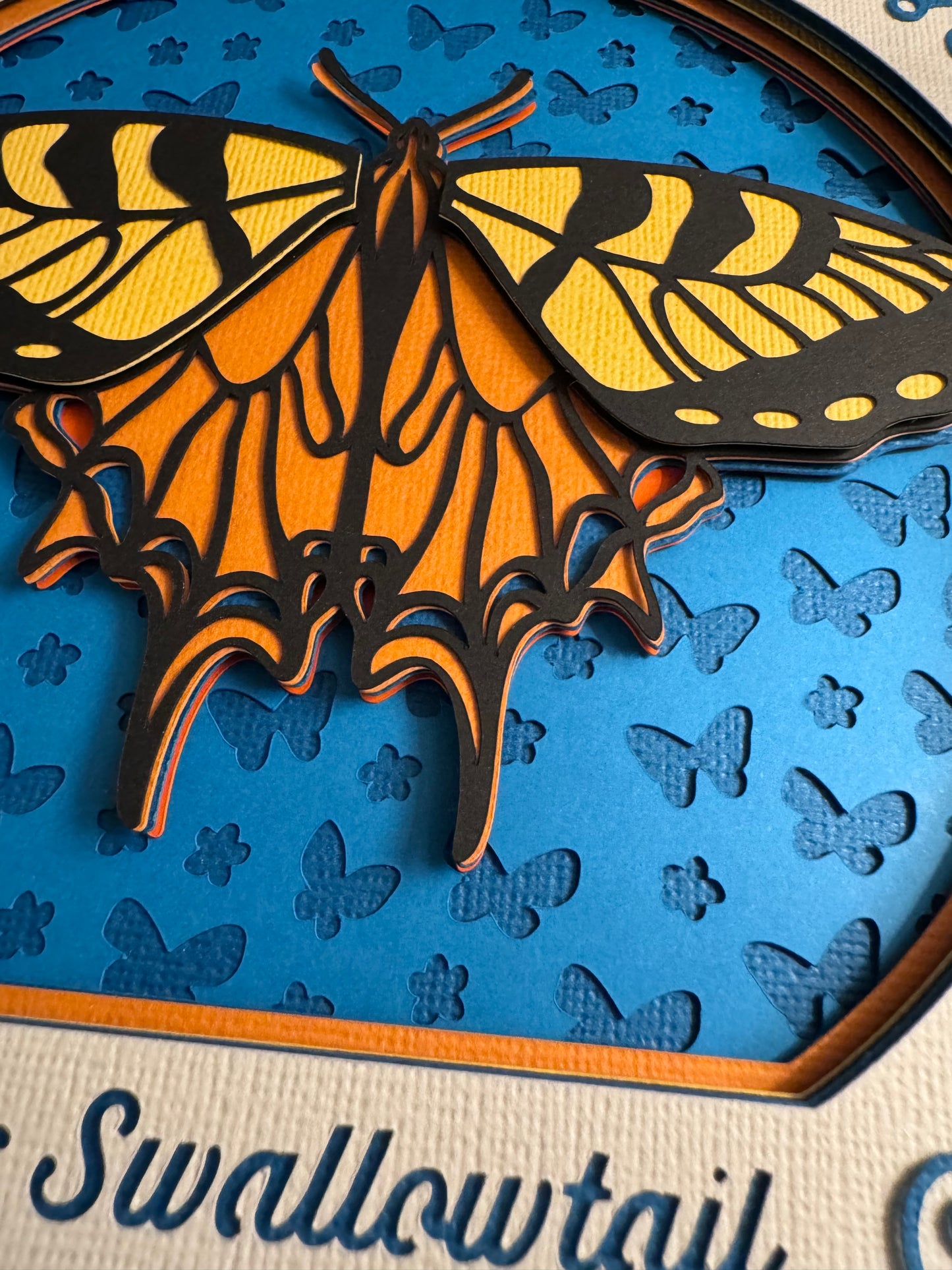 Intricate frame tiger swallowtail butterfly 3D paper art in a shadowbox
