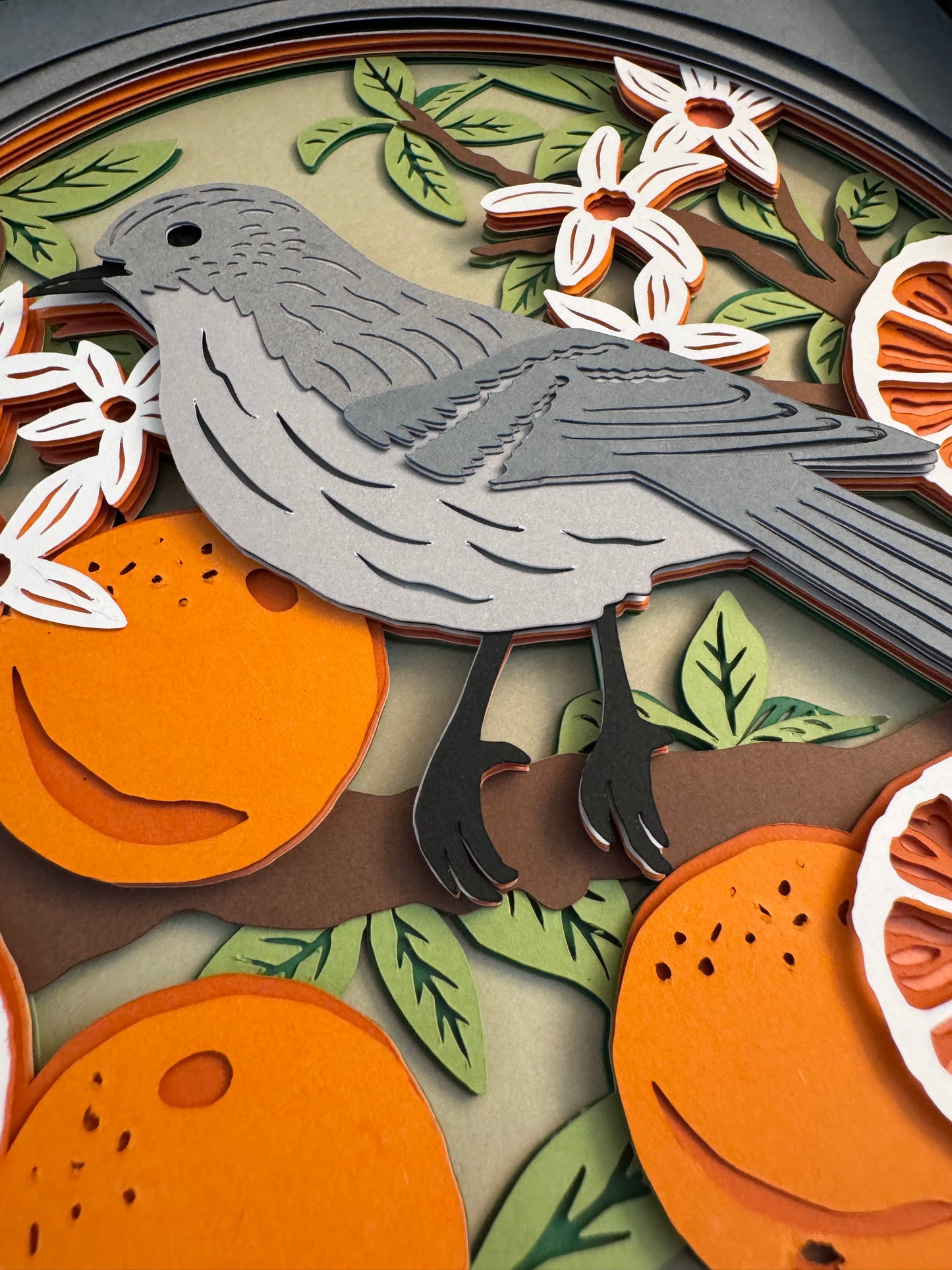 Mockingbird with oranges, Florida state bird 3D paper art in a shadowbox