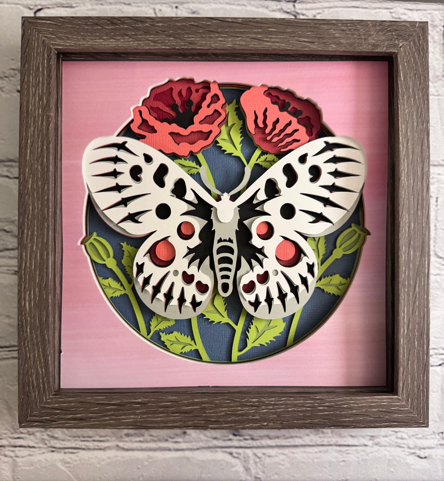 Butterfly solo scene apollo butterfly 3D paper art in a shadowbox