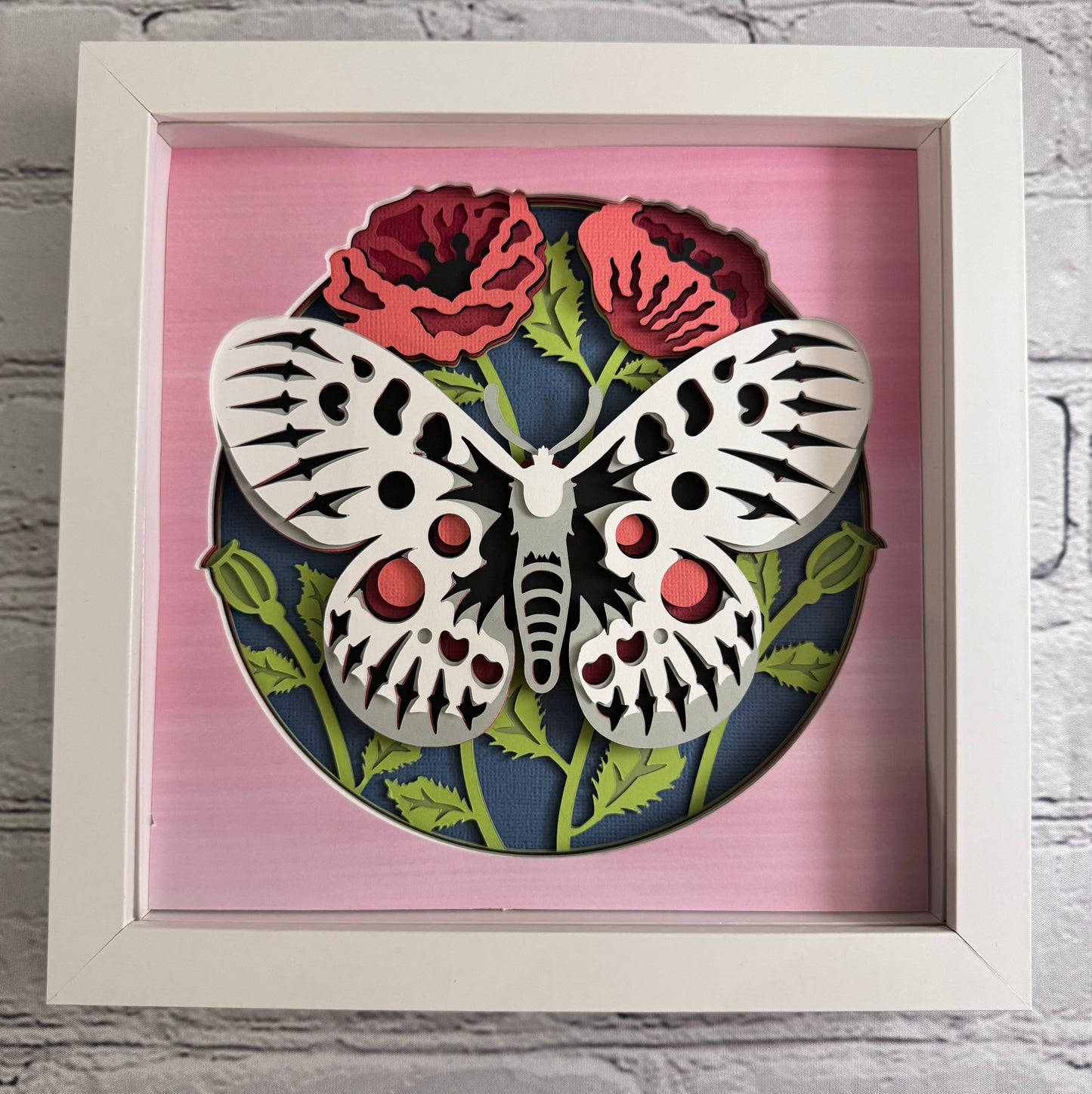 Butterfly solo scene apollo butterfly 3D paper art in a shadowbox