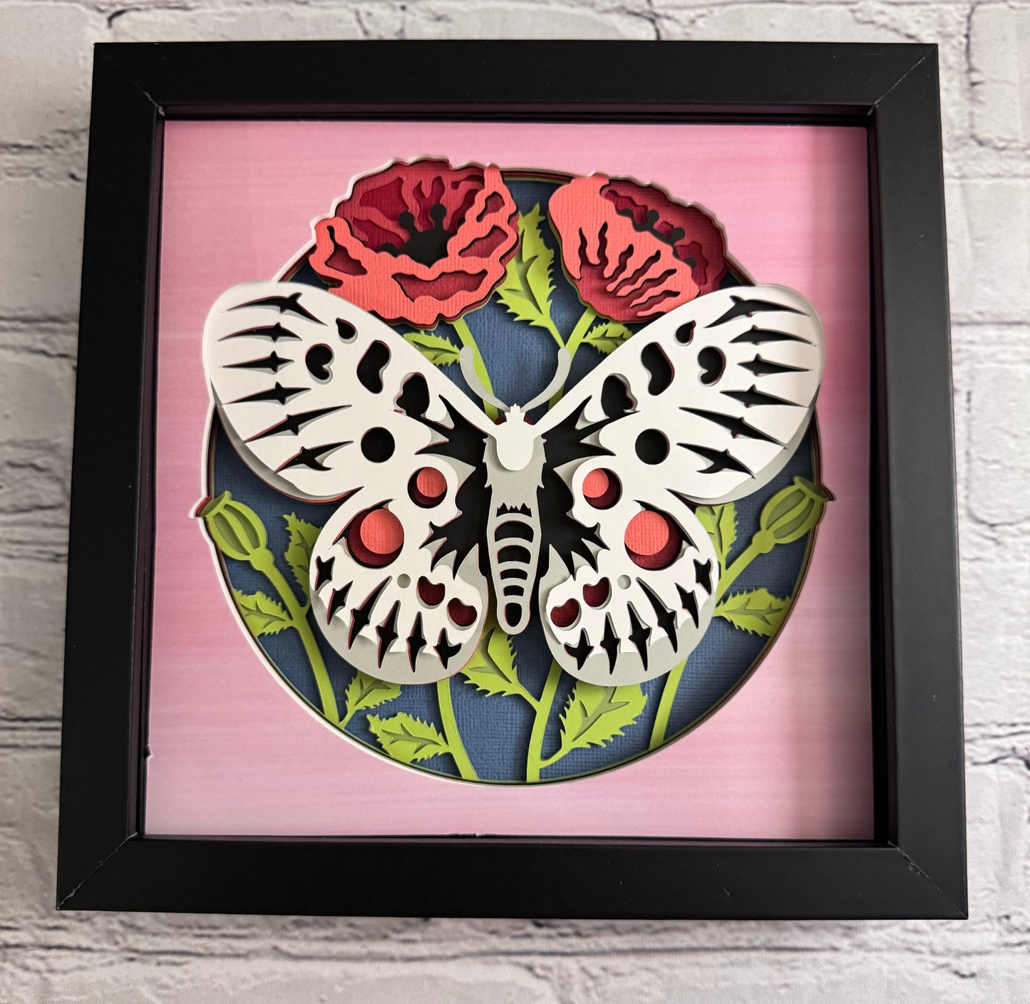 Butterfly solo scene apollo butterfly 3D paper art in a shadowbox