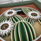 Cactus blossom mini 3D paper art in a shadowbox