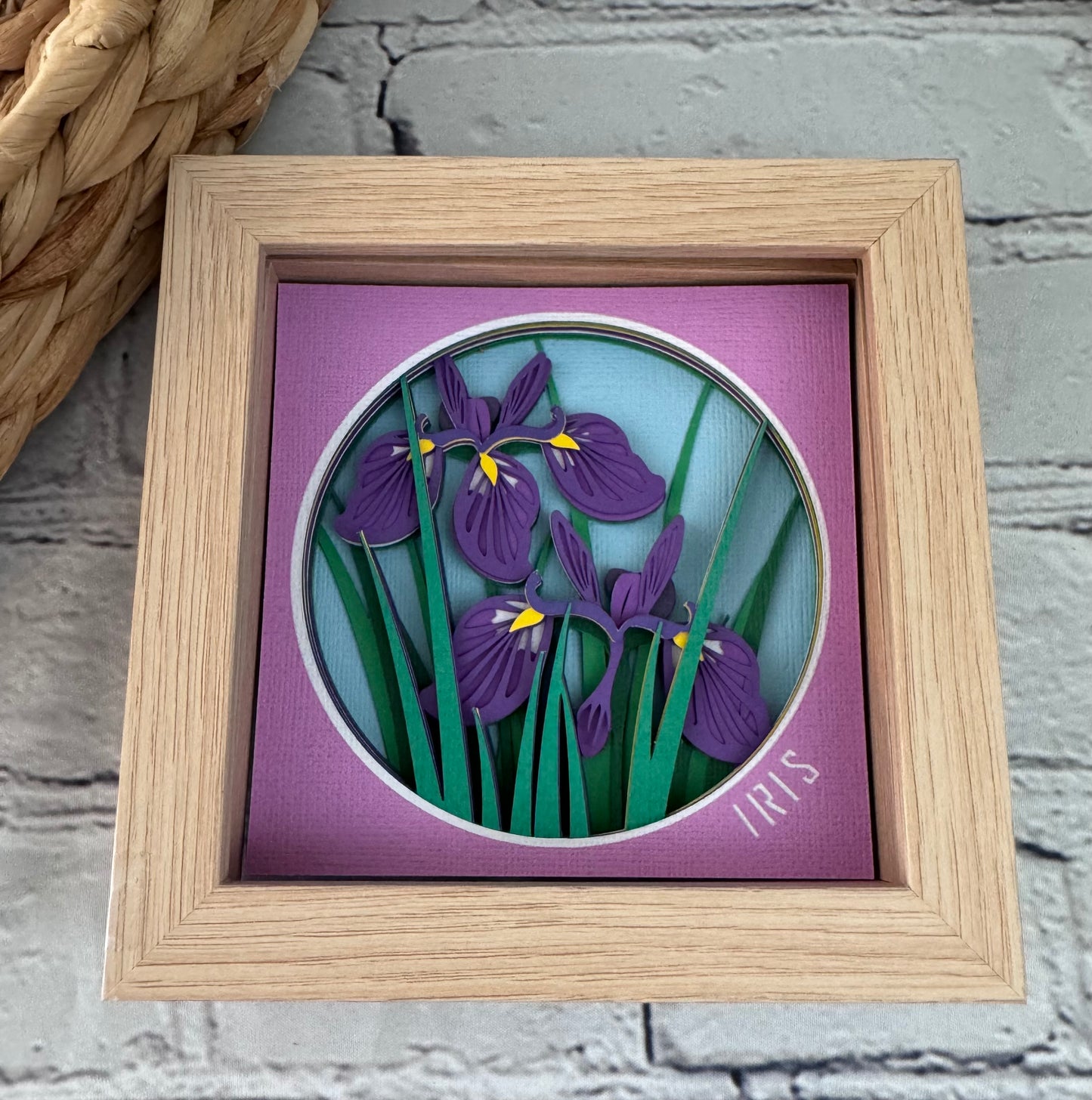 Iris mini 3D paper art in a shadowbox