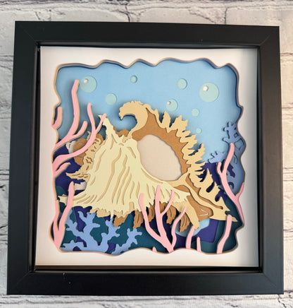 Conch shadowbox