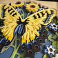 Butterfly solo scene tiger swallowtail butterfly 3D paper art in a shadowbox