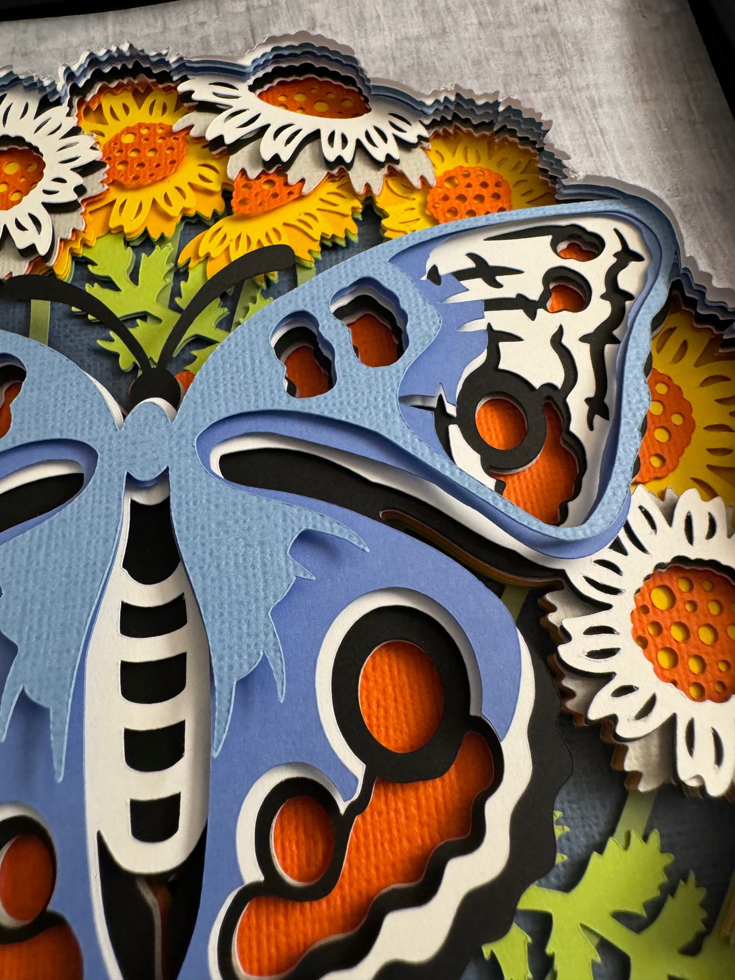 Butterfly solo scene cornflower butterfly 3D paper art in a shadowbox