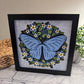 Butterfly solo scene blue morpho butterfly 3D paper art in a shadowbox