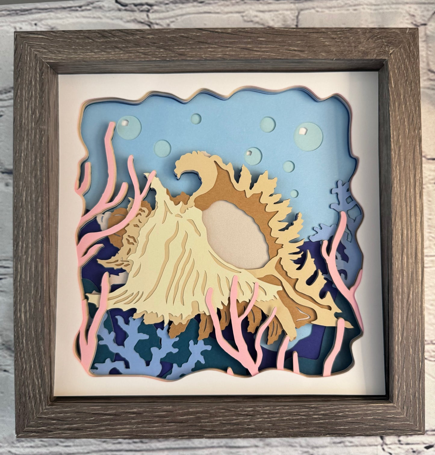 Conch shadowbox