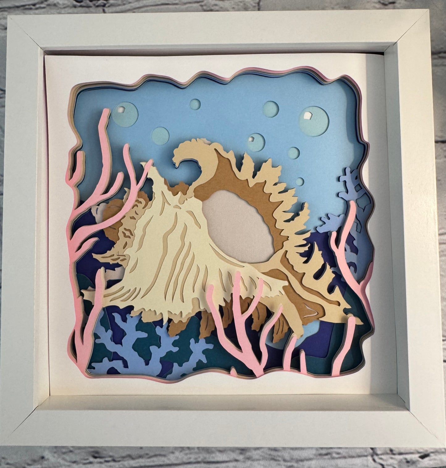 Conch shadowbox