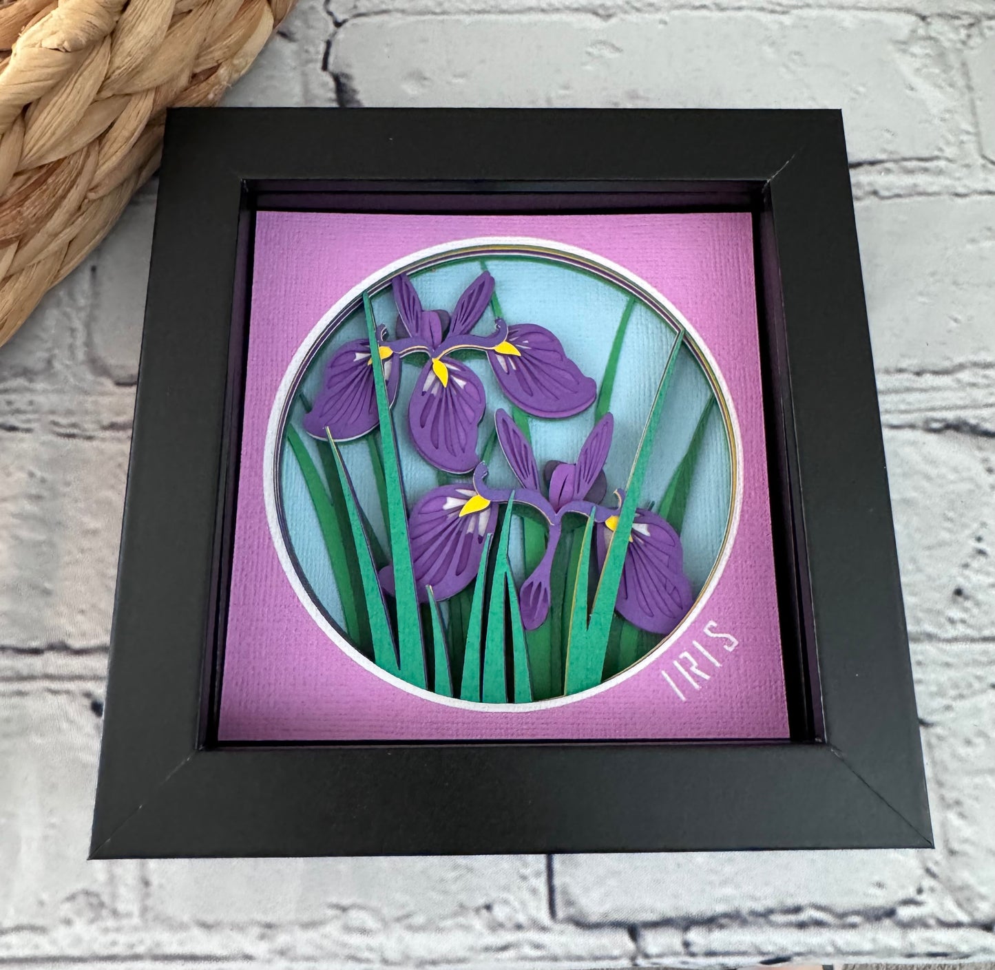 Iris mini 3D paper art in a shadowbox