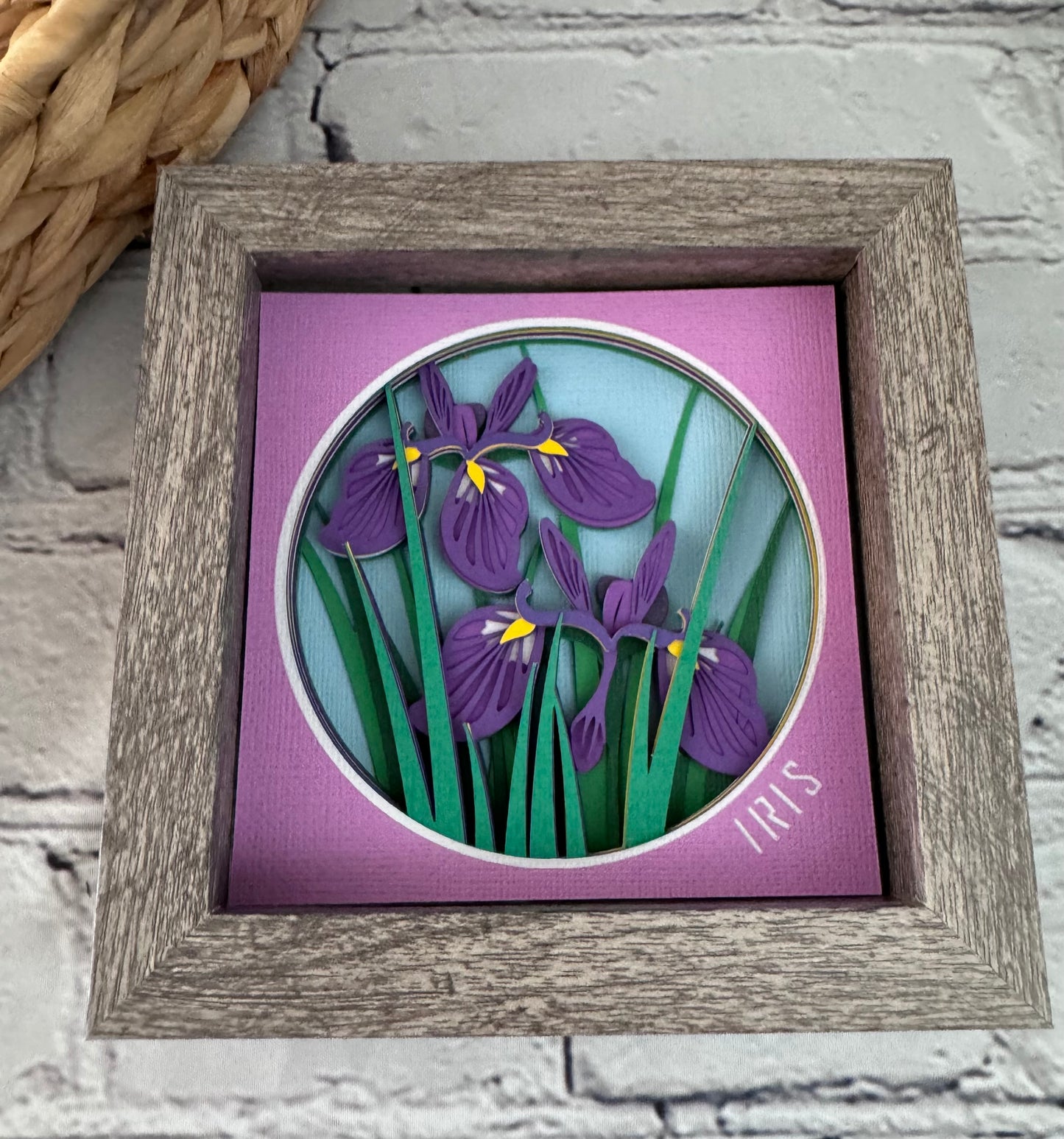 Iris mini 3D paper art in a shadowbox