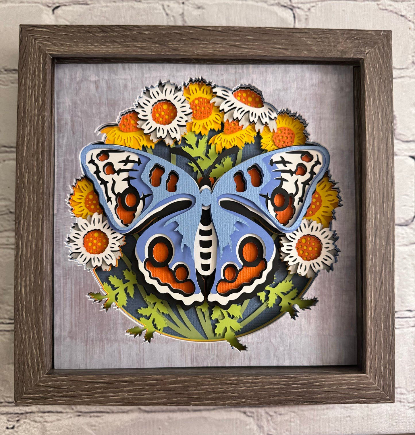 Butterfly solo scene cornflower butterfly 3D paper art in a shadowbox